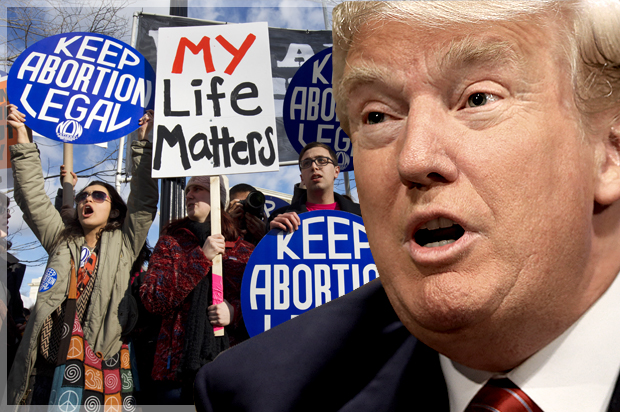 Donald Trump (Reuters/Nati Harnik/AP/Jacquelyn Martin/Photo montage by Salon)