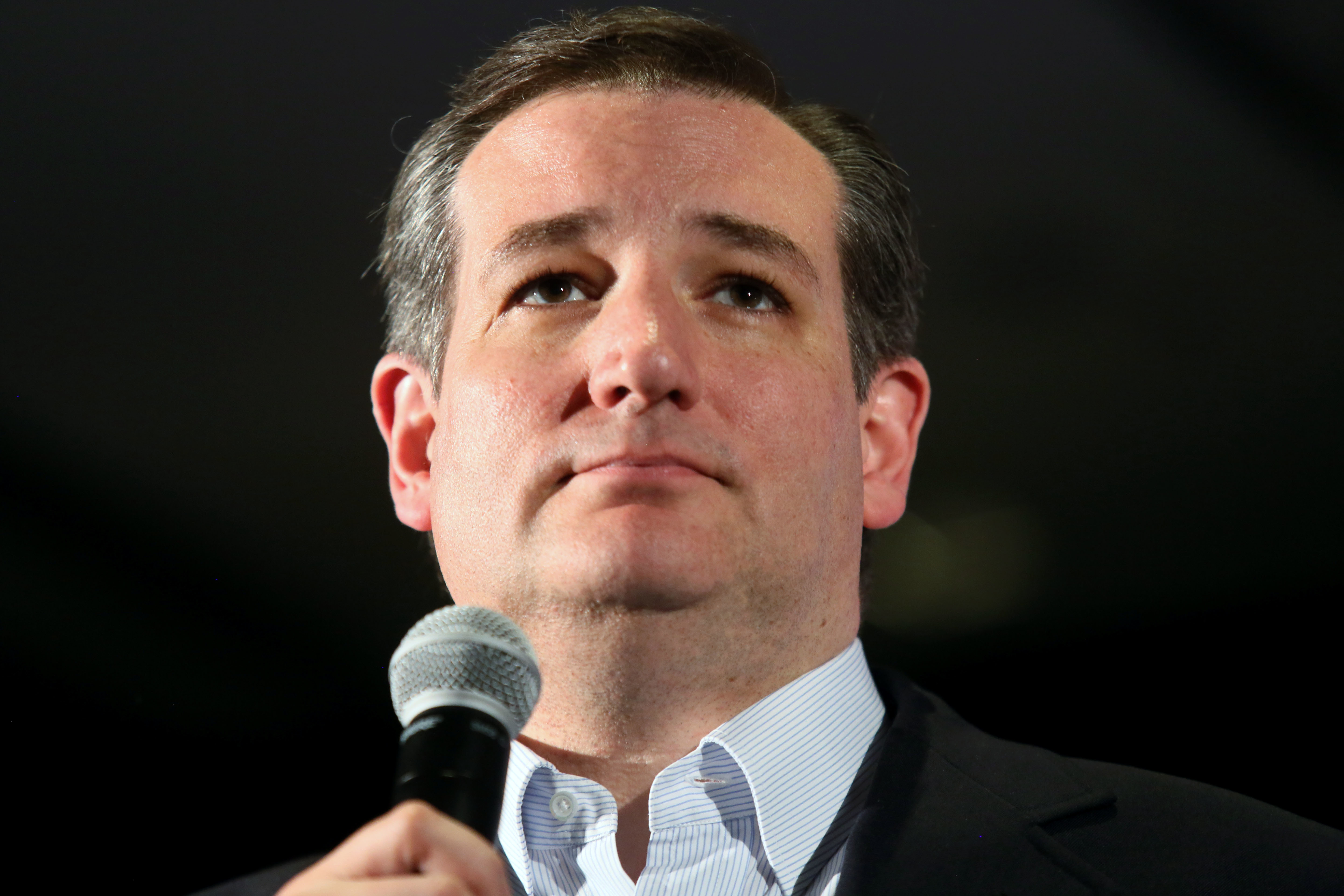 Ted Cruz (AP)