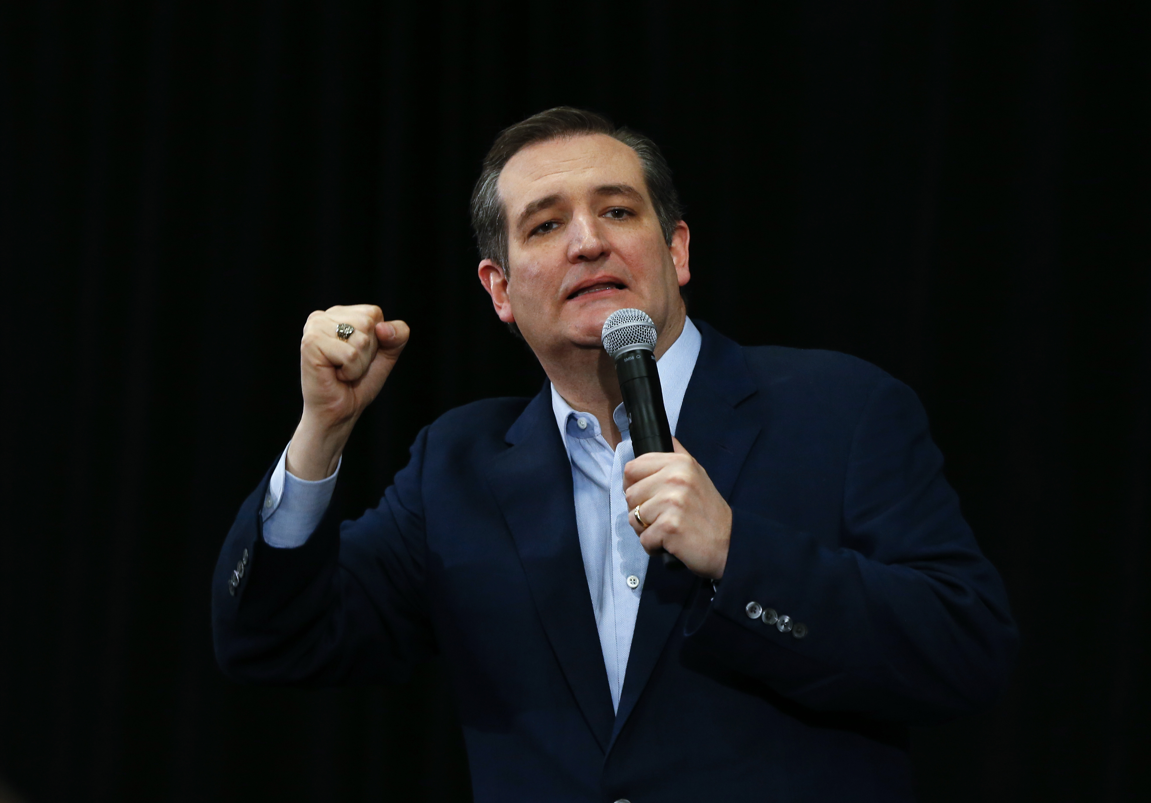 Ted Cruz (AP/Paul Sancya, File)