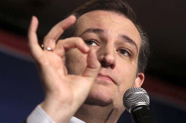 Ted Cruz (Reuters/Carlo Allegri)