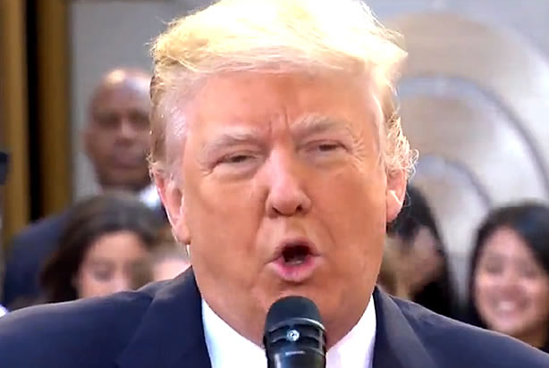 Donald Trump (Credit: NBC)