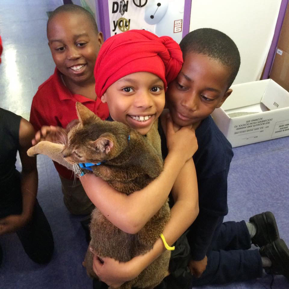 In this May 19, 2016 photo provided by Lisa Fernandez, school children interact with "Rubio," who is a poster cat for The Paw Project, an advocacy organization against feline declawing. Fernandez, a Brooklyn elementary school principal, leads a program to teach the schoolchildren about declawing and help them stage action against it. At rear left is Jacques Cadeau, Suleila Clarke, is in the foreground and Brandon Blue is at right. (Lisa Fernandez via AP) (AP)