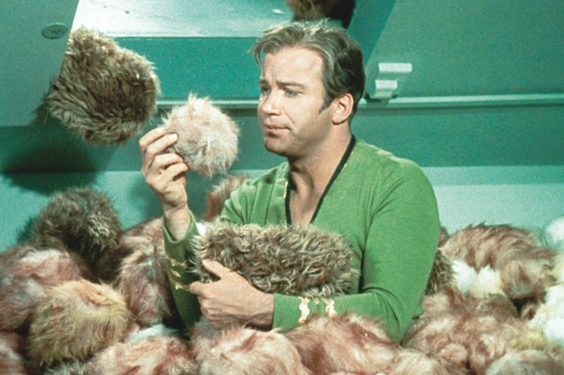William Shatner and Tribbles in "Star Trek" (Paramount Television)