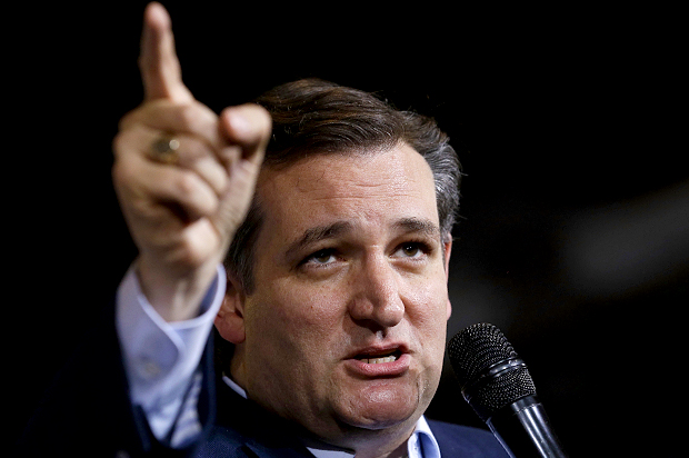 Ted Cruz (AP/Michael Conroy)