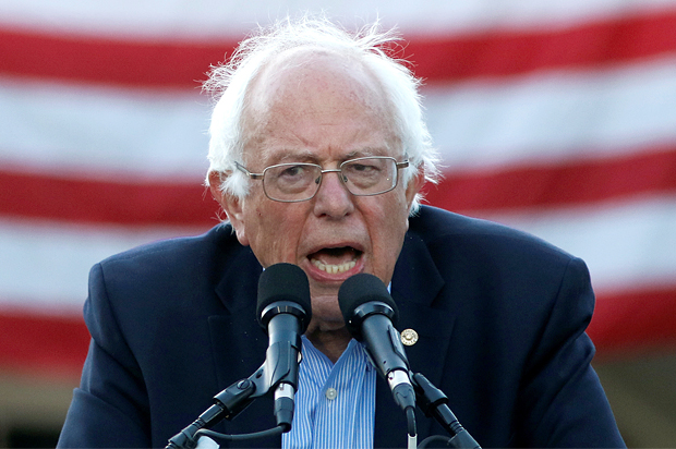 Bernie Sanders (Reuters/Michael Fiala)