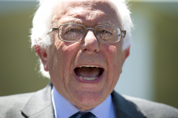 Bernie Sanders (AP/Evan Vucci)