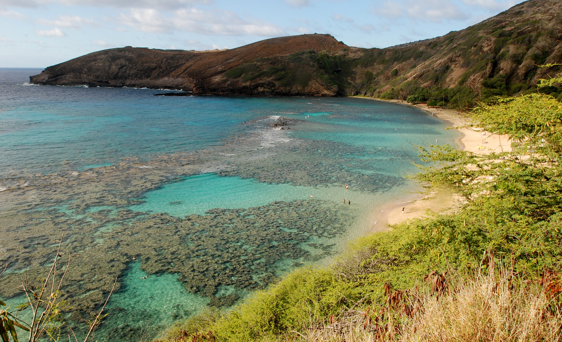 Oahus Hanauma Bay on Wednesday, May 6, 2016 near Honolulu. Much of the inner reef at Hanauma Bay is dead after decades of tourist interaction, but the outter reef is still relatively healthy. More than 2,000 international reef scientists, policymakers and stakeholders are gathering in Hawaii starting Monday, June 20, 2016, to discuss the latest coral science and what can be done to stop widespread death of the world's reefs.(AP Photo/Caleb Jones) (AP)