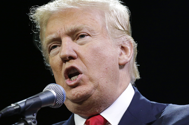 Donald Trump (AP/Chris Carlson)