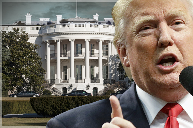 Donald Trump (AP/Chris Carlson/Shutterstock/Photo montage by Salon)
