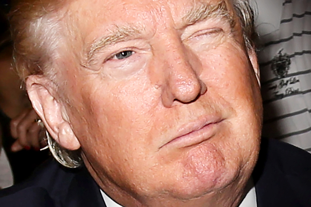 Donald Trump (AP/Greg Allen)