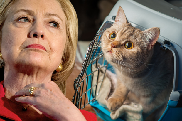 Democratic presidential candidate Hillary Clinton waits to speak at a get out the vote event at La Gala in Bowling Green, Ky., Monday, May 16, 2016. (AP Photo/Andrew Harnik) (AP/Andrew Harnik/<a href='http://www.shutterstock.com/gallery-3023108p1.html'>photo_master2000</a> via <a href='http://www.shutterstock.com/'>Shutterstock</a>/Photo montage by Salon)