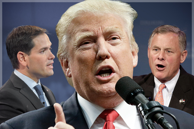 Marco Rubio, Donald Trump, Richard Burr (AP/Mark J. Terrill/Chris Carlson/Chuck Burton/Photo montage by Salon)