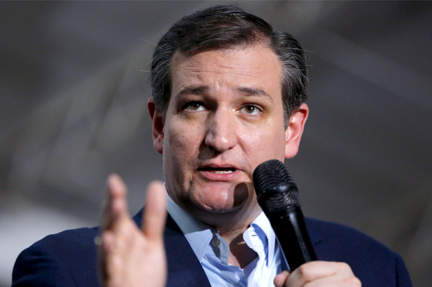 Ted Cruz (Reuters/Aaron P. Bernstein)