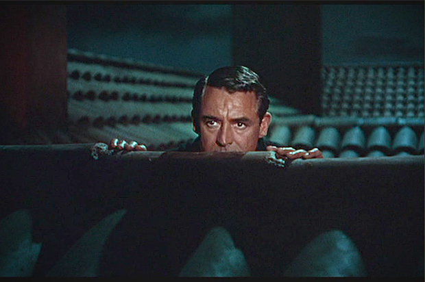 Cary Grant in "To Catch A Thief"