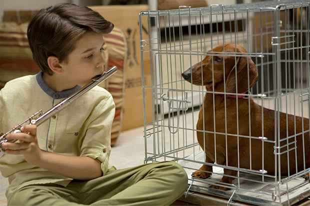 Keaton Nigel Cooke in "Weiner-Dog" (Amazon Studios)