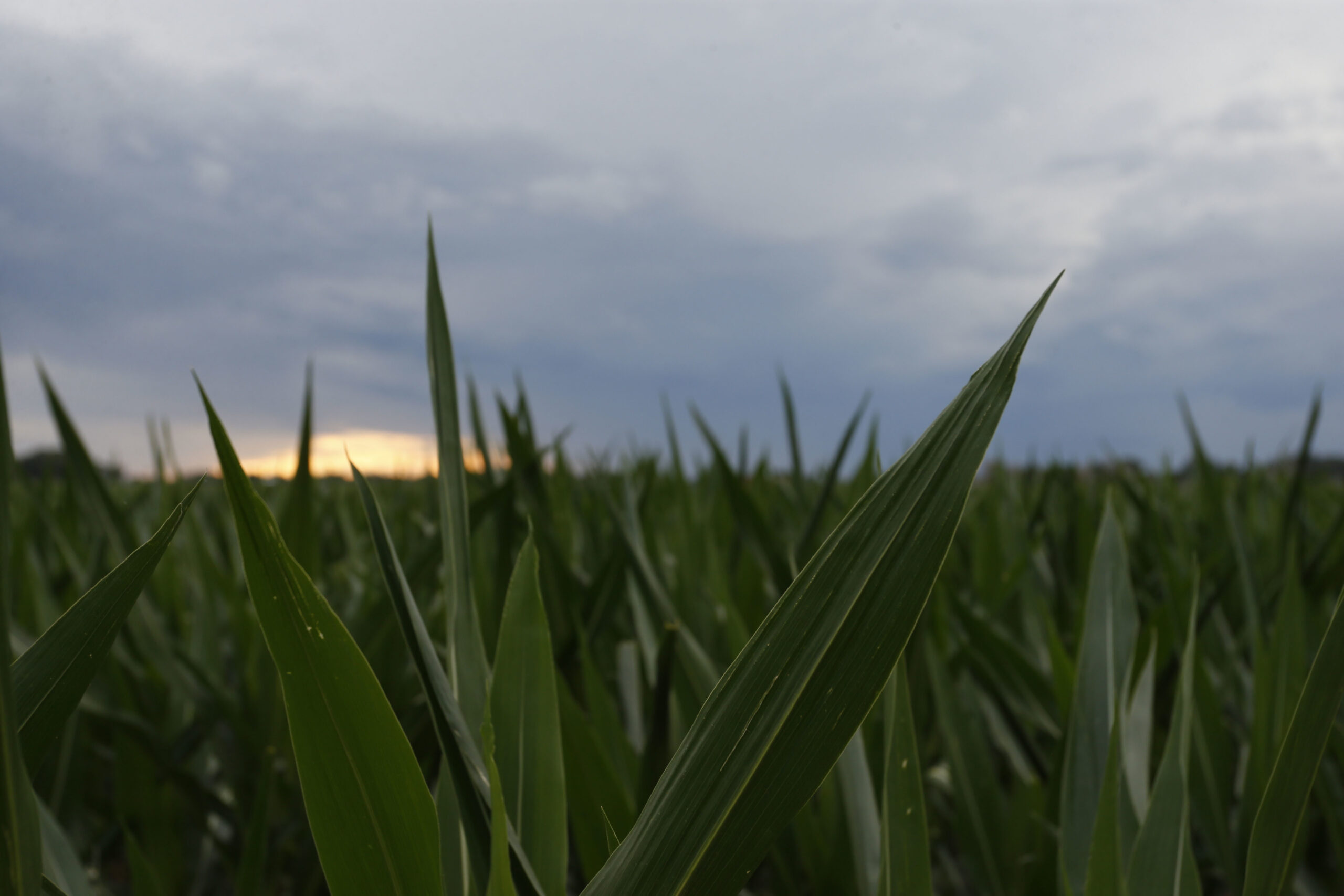 Rural areas have been especially slow to recover from the Great Recession (AP)