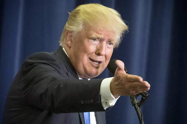 Donald Trump (AP/John Minchillo)