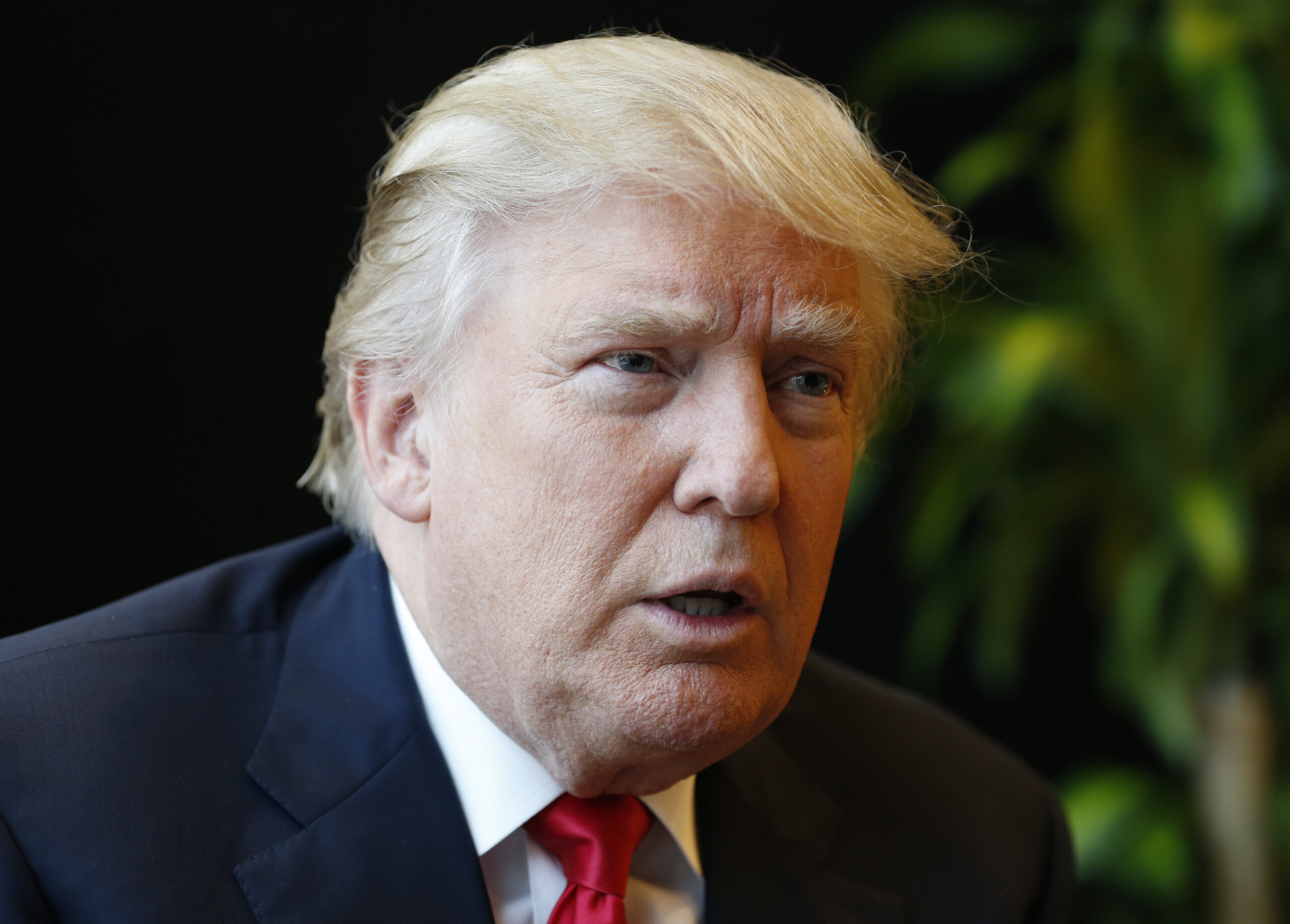 FILE - In this Monday, July 11, 2016 file photo, Republican Presidential candidate Donald Trump speaks during an interview after a rally in Virginia Beach, Va. Some authors already have managed to complete and release Trump fiction in time for next week's Republican convention. The titles include "Operation Golden Mane: The Donald Trump Incident," "Donald Trump Builds a Wall: A Funny Story" and "Trumpocalypse Now: A Horror Satire." (AP Photo/Steve Helber, File) (AP)
