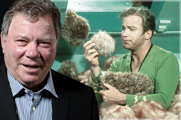William Shatner (AP/Richard Shotwell/Paramount Television/Salon)