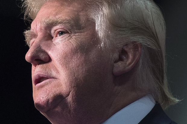 Donald Trump (Getty/Molly Riley)