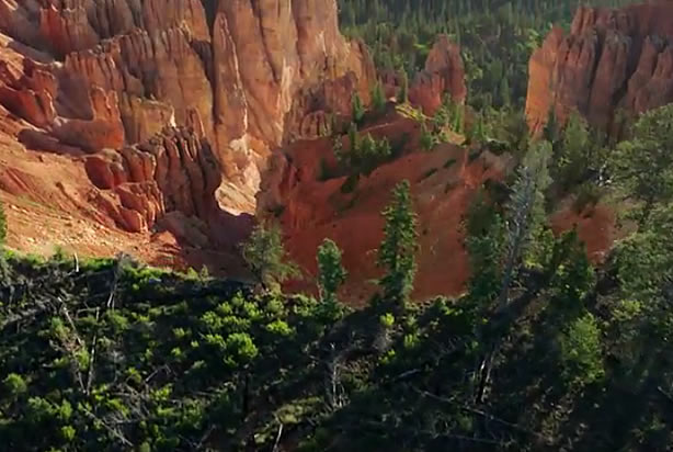 "The Hidden Worlds of National Parks" (Google)