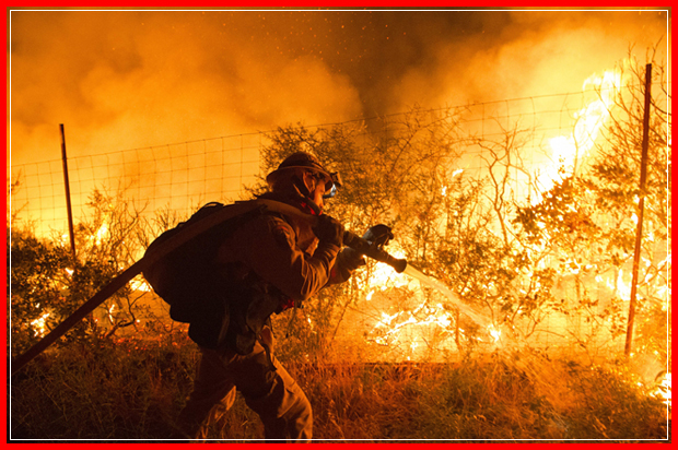 Firefighters attempt to control flames as they approach a vineyard in California's Santa Cruz Mountains early on September 27, 2016. 
The Loma Prieta Fire has charred more than 1,000 acres and burned multiple structures in the area.  / AFP / Josh Edelson        (Photo credit should read JOSH EDELSON/AFP/Getty Images) (Afp/getty Images)