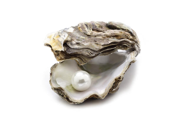 (<a href='https://www.shutterstock.com/g/4vela'>4vela</a> via <a href='http://www.shutterstock.com/'>Shutterstock</a>)