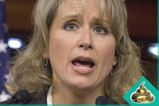 Renee Ellmers (AP/Harry Hamburg)