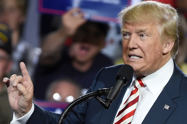 Donald Trump (Getty/Robyn Beck)