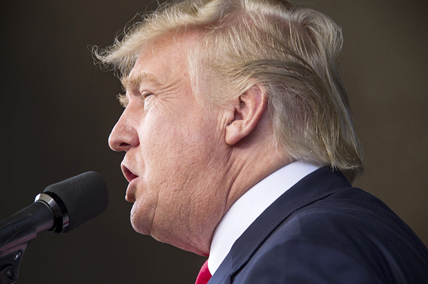 Donald Trump (Getty/Mark Wallheiser)