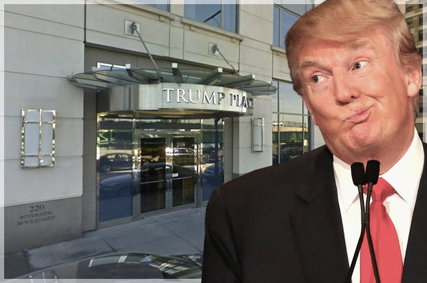 Donald Trump (Getty/Scott Olson/Salon)