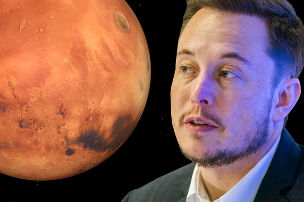 Elon Musk (Getty/Hector Guerrero/Photo montage by Salon)