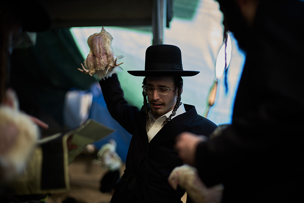 JERUSALEM, ISRAEL - OCTOBER 10:  An Ultra-Orthodox Jewish man performs the Kaparot ceremony on October 10, 2016 in Jerusalem, Israel. (Getty Images)