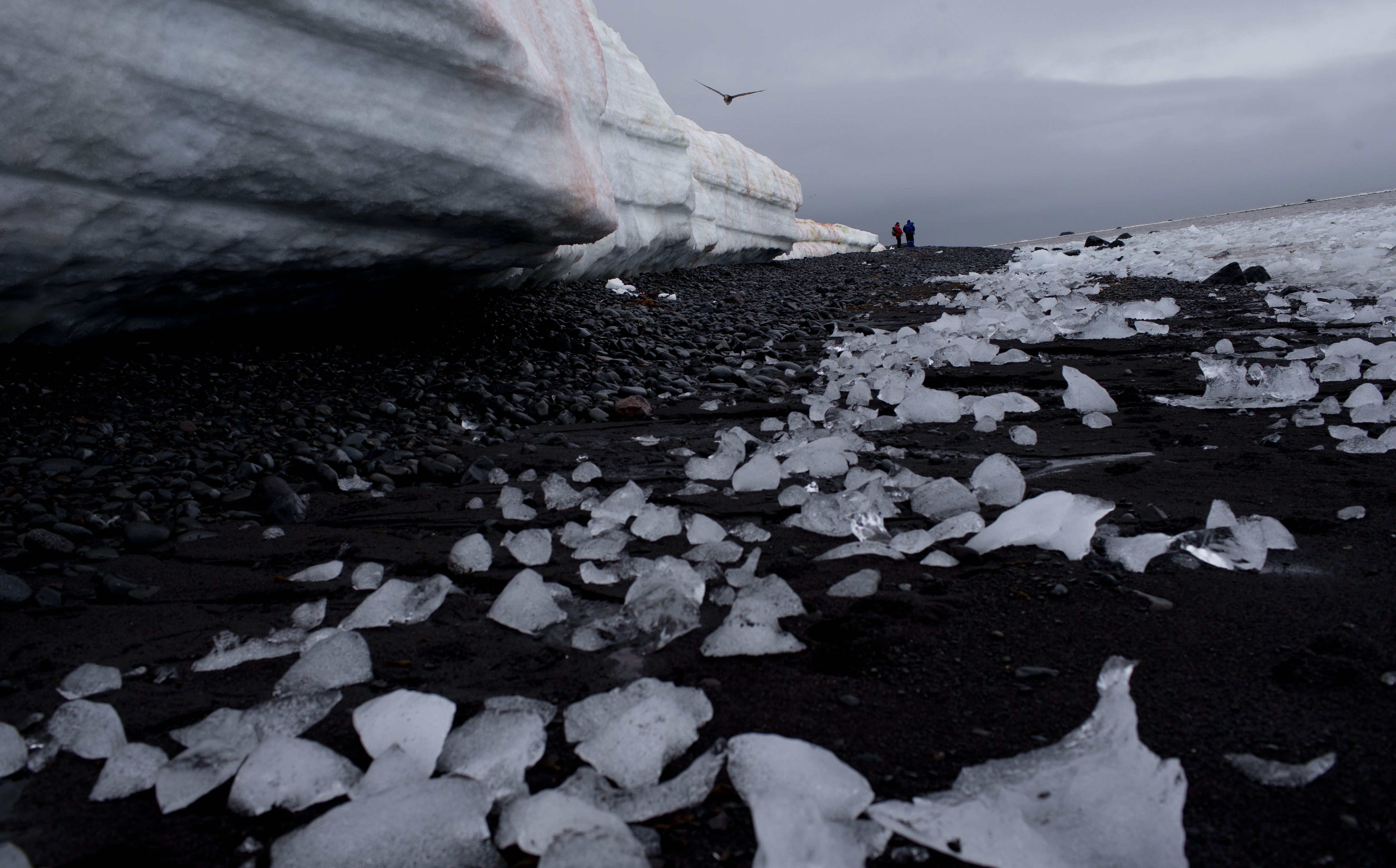 (AP Photo/Natacha Pisarenko)