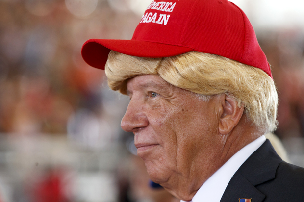 Donald Trump supporter at a campaign rally (AP/Evan Vucci)