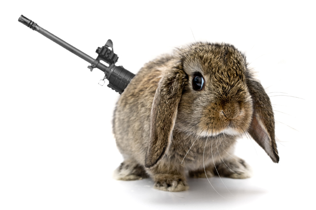 (<a href='https://www.shutterstock.com/g/Pixel+Memoirs'>Pixel Memoirs</a> via <a href='http://www.shutterstock.com/'>Shutterstock</a>/Salon)