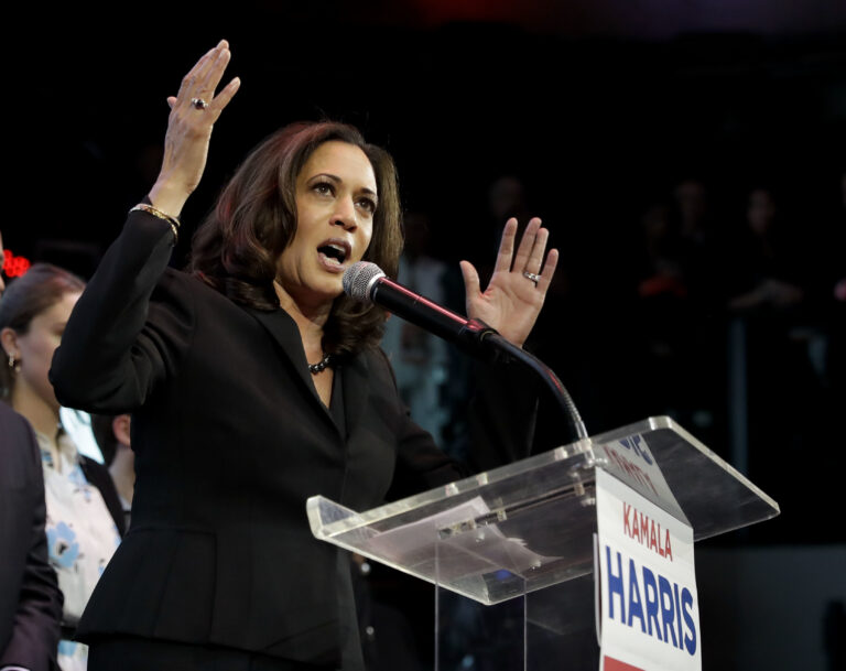 Democratic U.S. Senate candidate, Attorney General Kamala Harris speaks to supporters at a election night rally Tuesday, Nov. 8, 2016 in Los Angeles. (AP Photo/Chris Carlson) (AP)