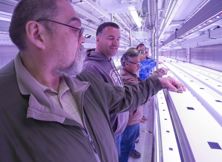 In this May 28, 2016 photo provided by Will Anderson, members of a local Alaska Native corporation board from left, Martin Shroyer, Calvin Schaeffer, Claude Wilson, Harold Lambert and Kathy Sherman watch the first crop planting inside the corporation's new indoor hydroponics farm in Kotzebue, Alaska. The goal of the venture is to grow kale, lettuces and other greens year-round, despite the region's unforgiving climate. (Will Anderson via AP) (AP)