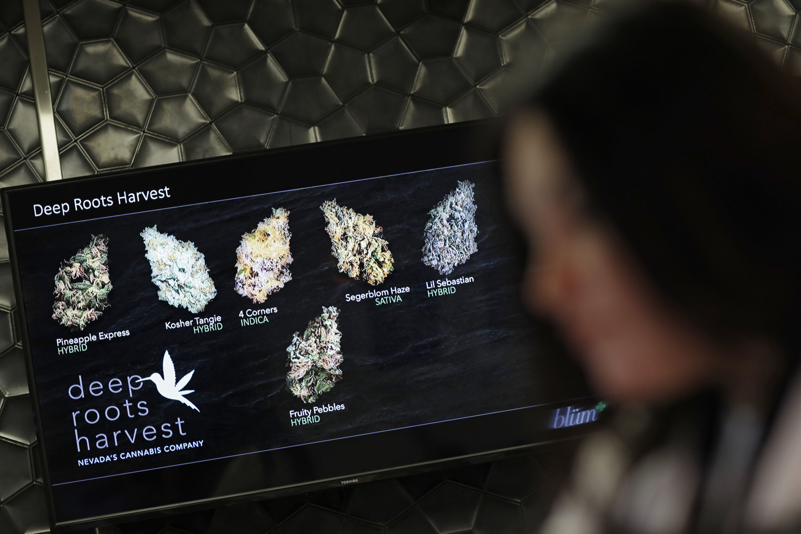 In this, Oct. 27, 2016, photo, a monitor displays different types of marijuana for sale at Blum in Las Vegas. Las Vegas could soon add recreational marijuana to its list of vices if Nevada approves a Nov. 8 referendum on cannabis. Supporters see pot as a fitting alternative for tourists tired of $15 cocktails and hangovers. But weed proponents will have to win over closely divided voters and a risk-averse gambling industry.  (AP Photo/John Locher) (AP)