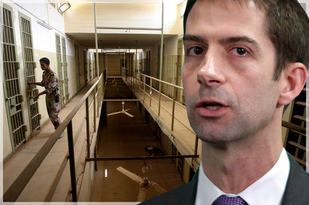 Tom Cotton; Abu Ghraib (Getty/Chip Somodevilla/AP/Khalid Mohammed/Photo montage by Salon)