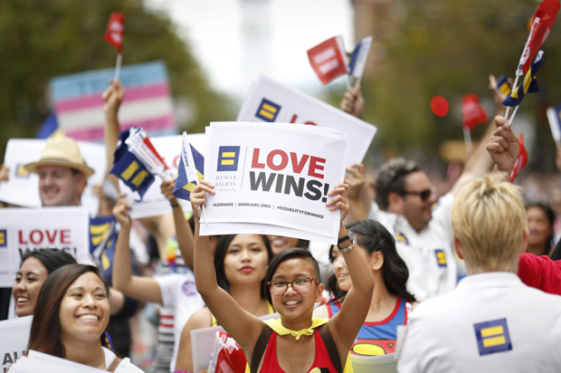 Participants celebrate at the San Francisco Pride Parade (AP/Adm Golub)