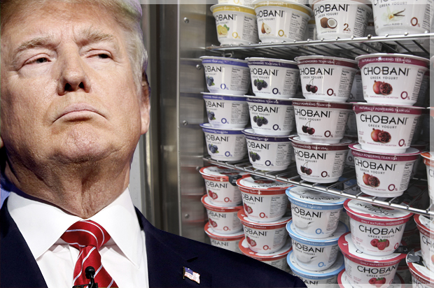 Donald Trump (AP/Rick Wilking/John Minchillo/Photo montage by Salon)