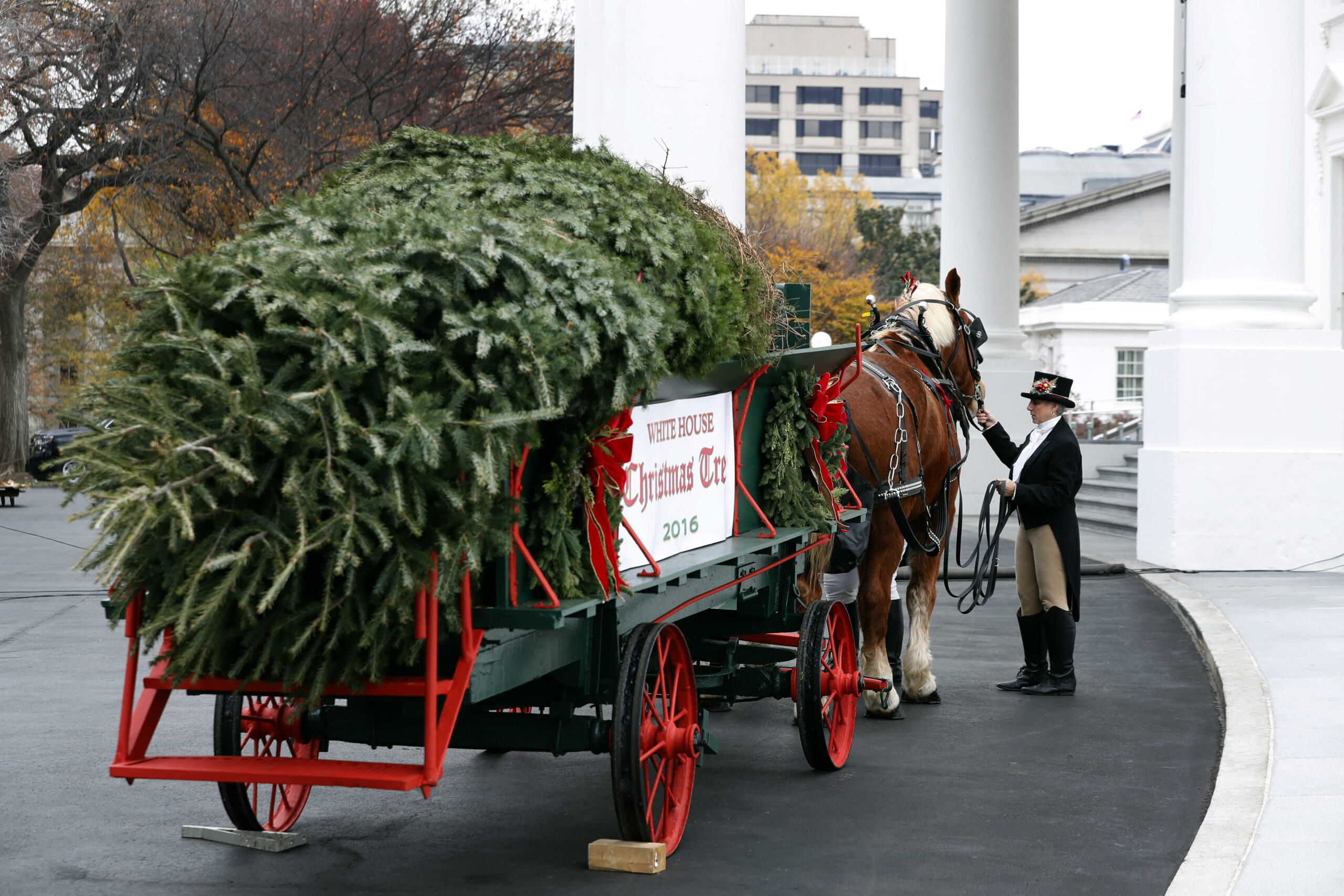 (AP Photo/Alex Brandon)
