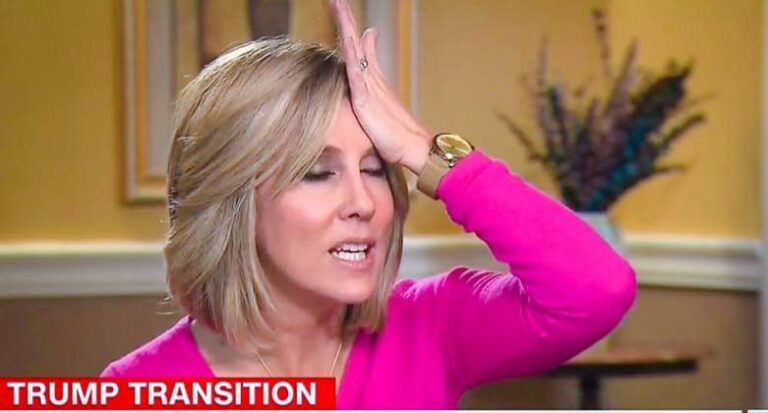 CNN's Alysin Camerota reacts to a Donald Trump voter falsely claiming that President Obama directed three million illegal votes in the 2016 election (CNN)