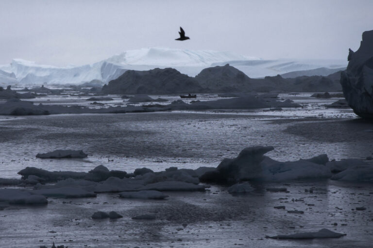 A fisherman drives a boat near Ilulissat, Greenland. (AP Photo/Evan Vucci, Pool, File)