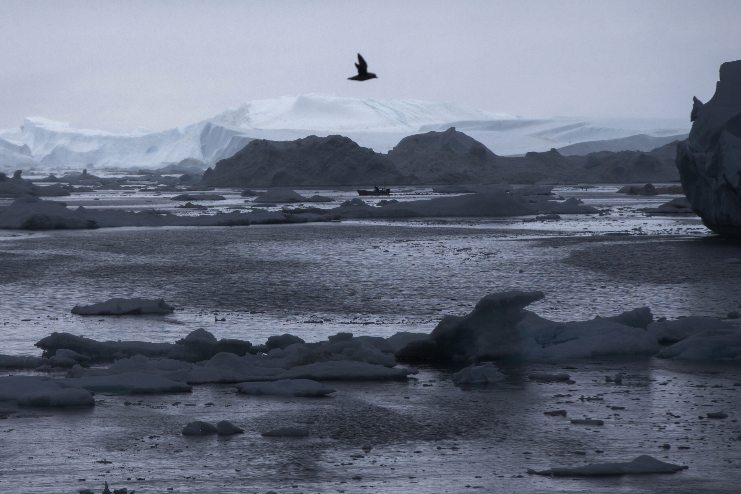 A fisherman drives a boat near Ilulissat, Greenland. (AP Photo/Evan Vucci, Pool, File)