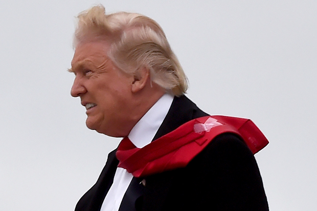 Donald Trump (Getty/Timothy A. Clary)