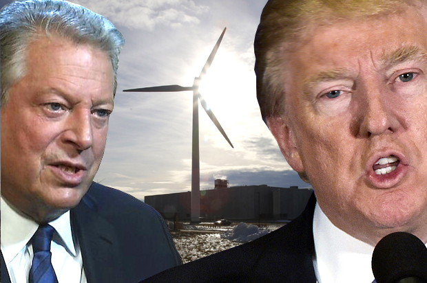 Al Gore; Donald Trump (AP/Getty/Alex Sanz/Mandel Ngan/Martha Irvine/Salon)