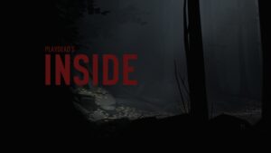 inside