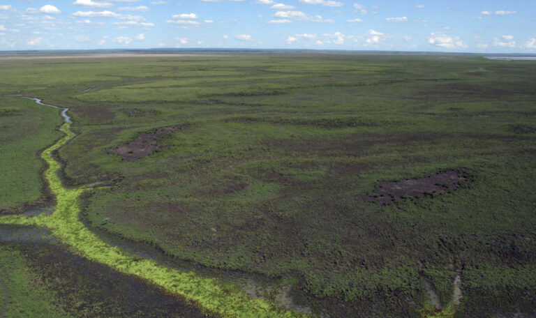 An aerial view shows part of Gorongosa National Park in Mozambique, Wednesday, Nov. 30, 2016, which is one of Africa's richest ecosystems, with forests, grassland, a lake and a mountain. (AP Photo/Christopher Torchia) (AP)
